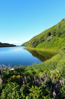 Cape Breton