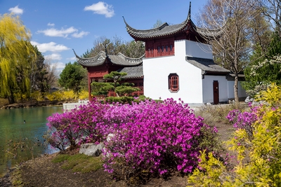 Japanese garden in Montreal